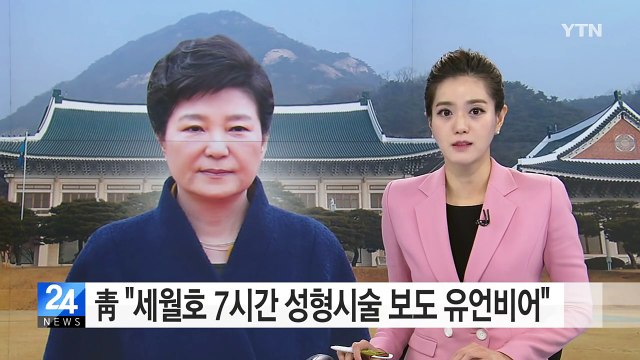 청와대 세월호 당시 박근혜 대통령 성형시술 보도는 유언비어 / YTN (Yes! Top News)