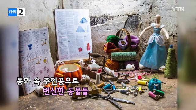 동화 속 주인공 된 동물들의 가슴 아픈 사연 / YTN (Yes! Top News)