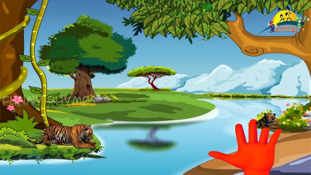 Gorilla Lion Bear Tiger Cat Finger family Songs | 3d animated English Nursery kids rhymes