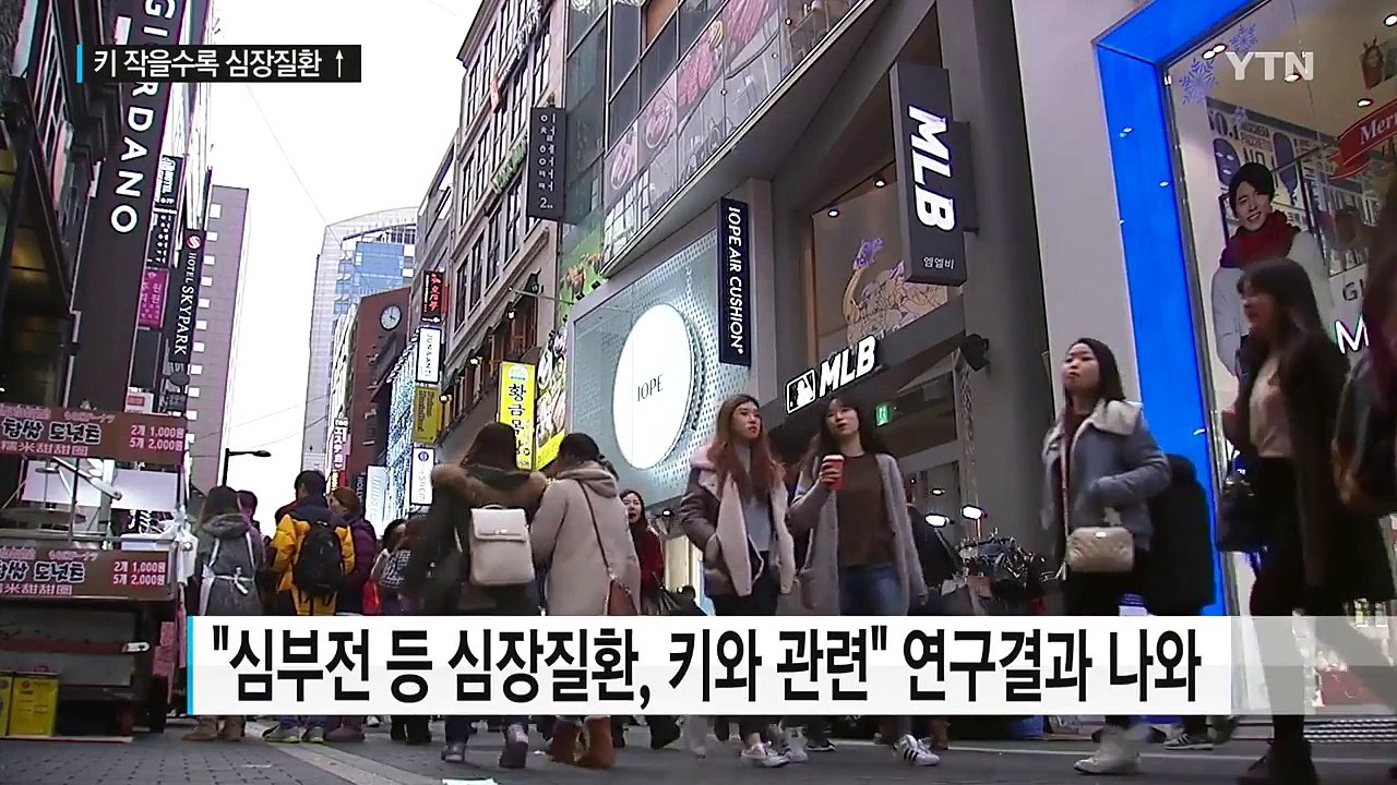 "키 작을수록 심부전 등 심장질환 위험 크다" / YTN (Yes! Top News)