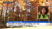 [인천] 인천 대공원 숲길, 가장 아름다운 숲길 선정 / YTN (Yes! Top News)