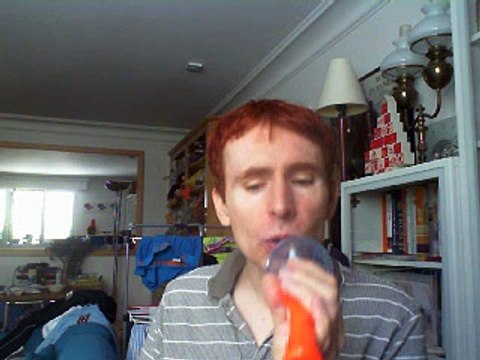 Wiwi égratigne remords de Loire de Didier Barbelivien