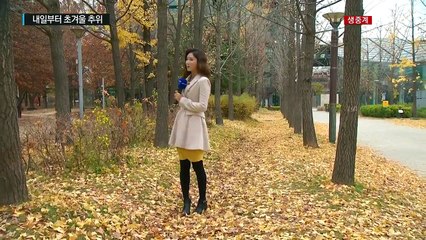 [날씨] 오늘까지 포근, 제주도 비...내일부터 초겨울 추위 / YTN (Yes! Top News)