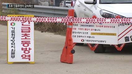 서해안 벨트 타고 수도권까지 '신형 AI' 급속 확산 조짐 / YTN (Yes! Top News)