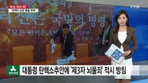 국민의당, 탄핵소추안에 '제3자 뇌물죄' 적시 방침 / YTN (Yes! Top News)