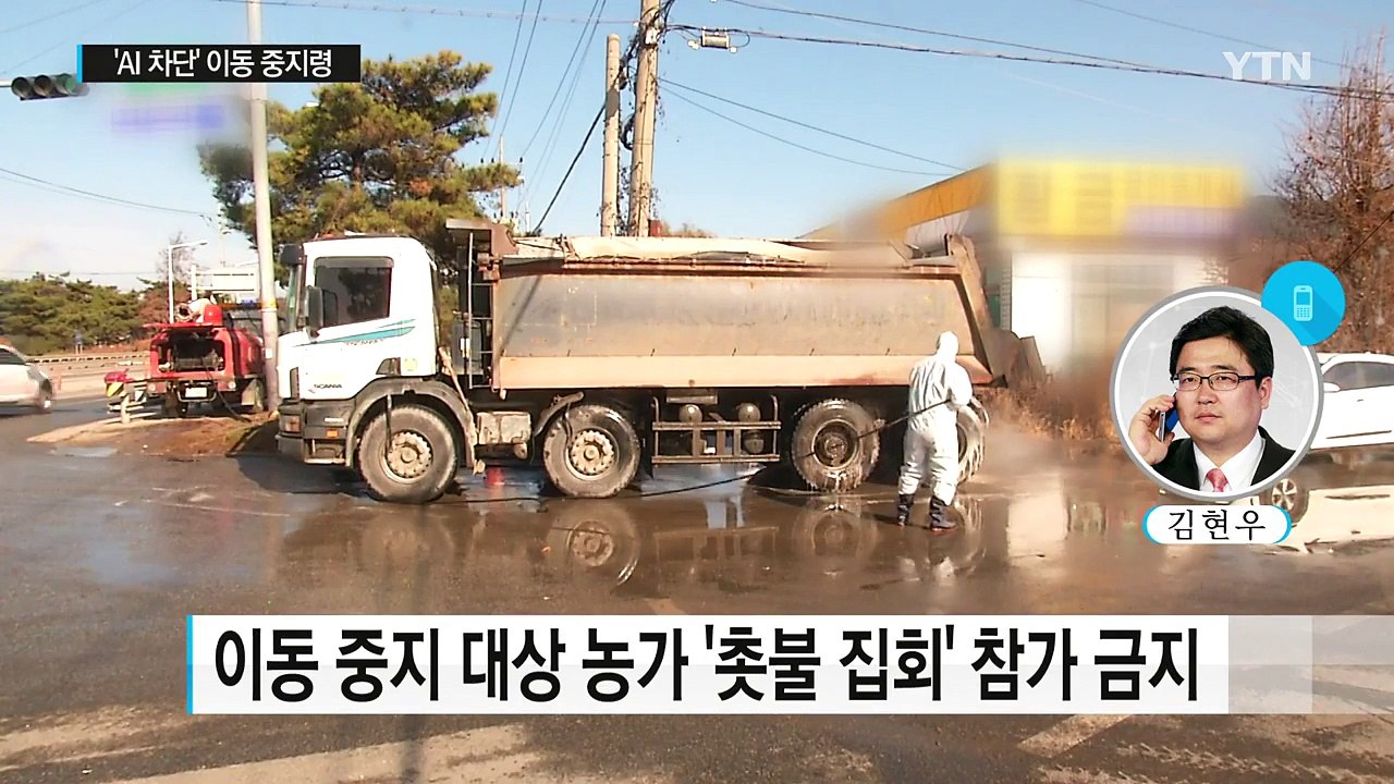 "AI 확산 막아라"...주말 전국 '이동 중지' 명령 / YTN (Yes! Top...