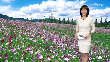 낭만적인 생태수도 '순천' / YTN (Yes! Top News)