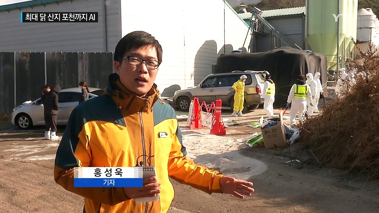 전국 최대 닭 산지 포천까지 AI 확산...농민 불안 / YTN (Yes! Top News)