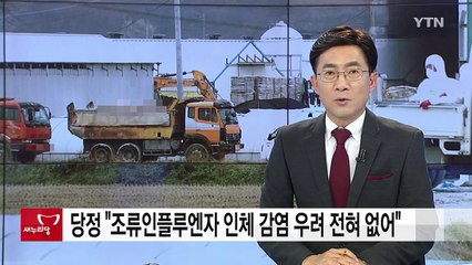 당정 "조류인플루엔자 인체 감염 우려 전혀 없어" / YTN (Yes! Top News)