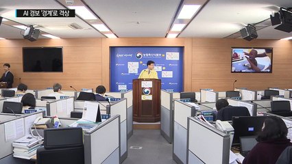 AI 위기 경보 '경계'로 격상...전국 확산 우려 / YTN (Yes! Top News)