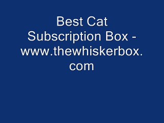 Best Cat Subscription Box - www.thewhiskerbox.com