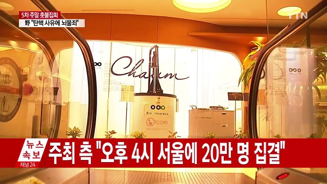 최순실 언니 최순득 소환... 의혹 전반 조사 / YTN (Yes! Top News)