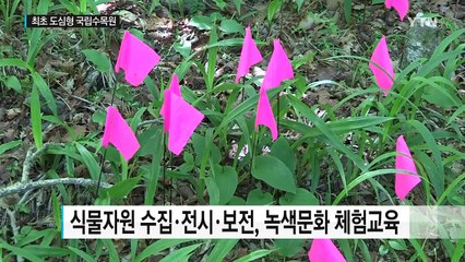 최초 도심형 국립수목원, 행복도시에 들어선다 / YTN (Yes! Top News)