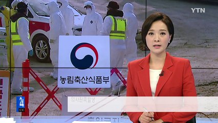 오늘부터 48시간 동안 닭·오리 농가 '이동 중지' / YTN (Yes! Top News)