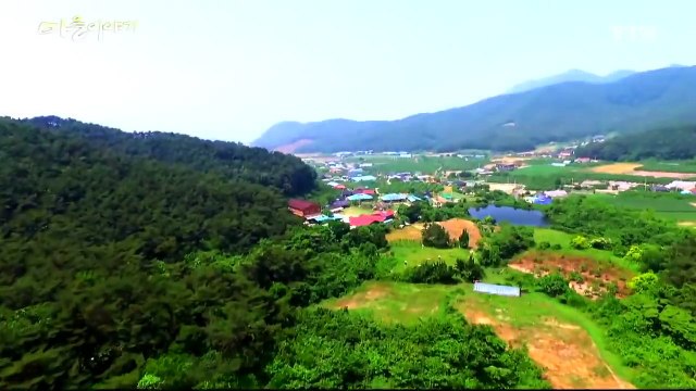 [YTN 스페셜] 마을이야기 3부 : 거대한 뿌리, 마을의 미래는? / YTN (Yes! Top News)