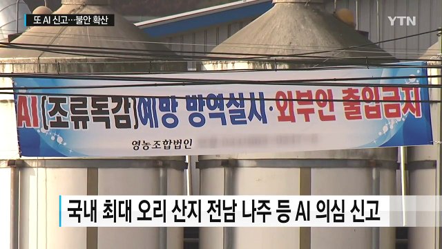 이동중지 명령에도 AI 의심 신고...불안감 확산 / YTN (Yes! Top News)