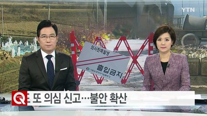 이동중지 명령에도 AI 의심 신고...불안감 확산 / YTN (Yes! Top News)