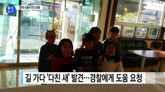 [좋은뉴스] 새를 구해주세요 파출소 찾은 '꼬마 6총사' / YTN (Yes! Top News)