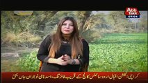 Parda Fash On Abb Tak – 7th January 2017