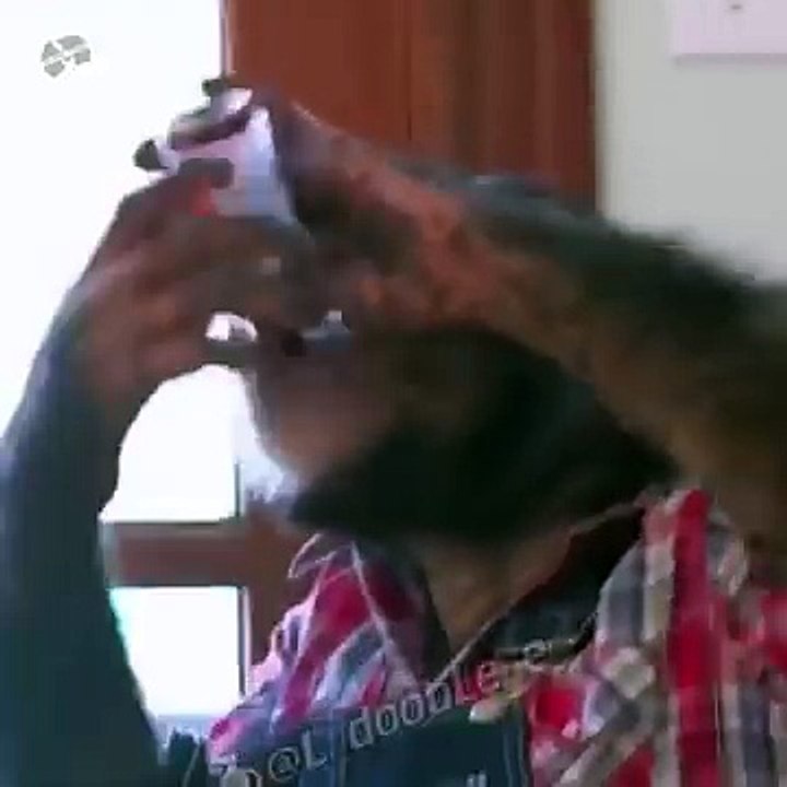 Codeine Crazy