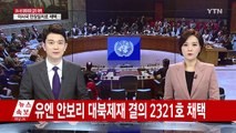 새 대북제재 결의 채택...北 석탄 수출 상한 설정 / YTN (Yes! Top News)