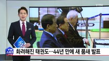 화려해진 태권도...44년 만에 새 품새 발표 / YTN (Yes! Top News)