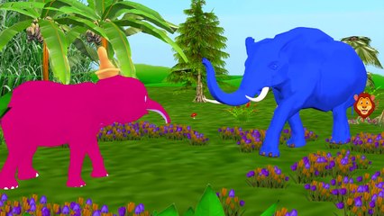 Lion Finger Family | Gorilla, Dinosaurs, Elephant, Tiger & More Animals Finger Family Nursery Rhymes