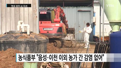 감염 속도 무서운 기세...역대 최악 AI 우려 / YTN (Yes! Top News)