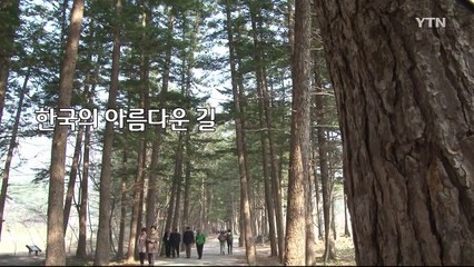 자연이 빚은 보물 '부안' / YTN (Yes! Top News)