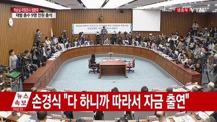 최순실 국정조사 청문회 ⑤ / YTN (Yes! Top News)