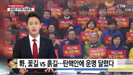 야권, 꽃길이냐 흙길이냐...탄핵안에 운명 달렸다 / YTN (Yes! Top News)