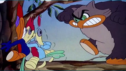 PICA PAU E SUA TURMA O BIRUTA