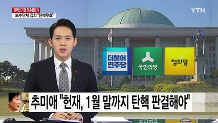 추미애 "헌재, 내년 1월 말까지 탄핵 판결해야" / YTN (Yes! Top News)