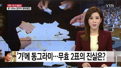 '가'에 동그라미...무효 2표의 진실은? / YTN (Yes! Top News)