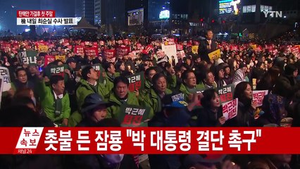 야당, 촛불집회 참석...새누리당, 분열 심화 / YTN (Yes! Top News)
