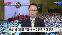 탄핵 정국 속 개헌 필요할까? / YTN (Yes! Top News)