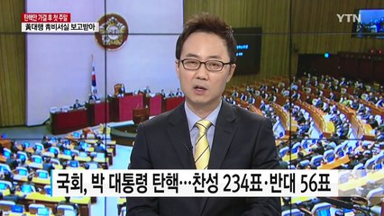 탄핵 정국 속 개헌 필요할까? / YTN (Yes! Top News)