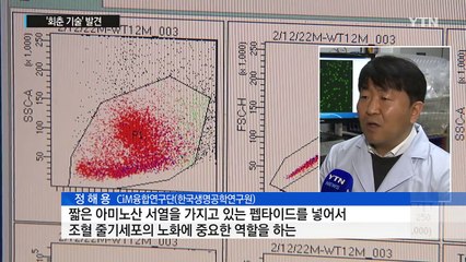 '젊음' 되찾는 조혈줄기세포 '회춘 기술' 발견 / YTN (Yes! Top News)