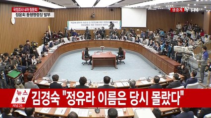 최순실 국정조사 4차 청문회 ④ / YTN (Yes! Top News)