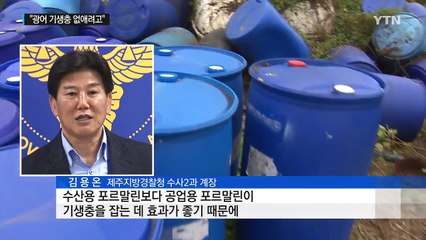 광어 양식에 공업용 포르말린 사용 / YTN (Yes! Top News)