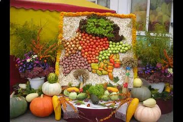 Шок Лукашенко Отжег