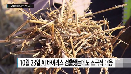 매년 오는 철새...한·일, AI 대처 달랐다 / YTN (Yes! Top News)
