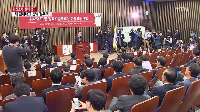 새누리 원내사령탑 친박 정우택...지도부 전격 사퇴 / YTN (Yes! Top News)