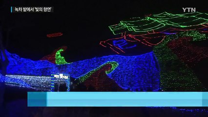 보성 차밭에서 '빛의 향연' / YTN (Yes! Top News)