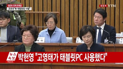 [청문회영상] 손혜원 "김종덕, 김종에게 이용당한 것" / YTN (Yes! Top News)