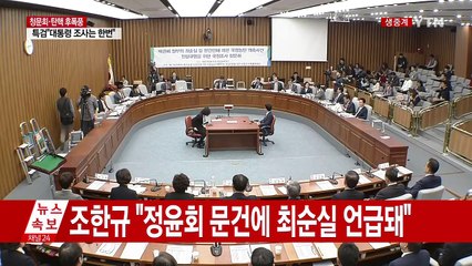 최순실 국정조사 4차 청문회 ⑪ / YTN (Yes! Top News)