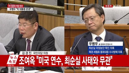 최순실 국정조사 5차 청문회 ⑮ / YTN (Yes! Top News)