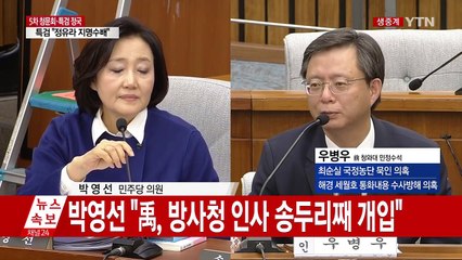 최순실 국정조사 5차 청문회 (19)  / YTN (Yes! Top News)