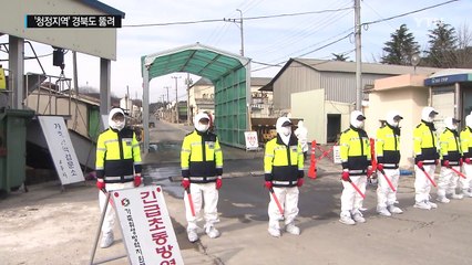 '청정지역' 경북도 결국 뚫려...고병원성 AI 확인 / YTN (Yes! Top News)