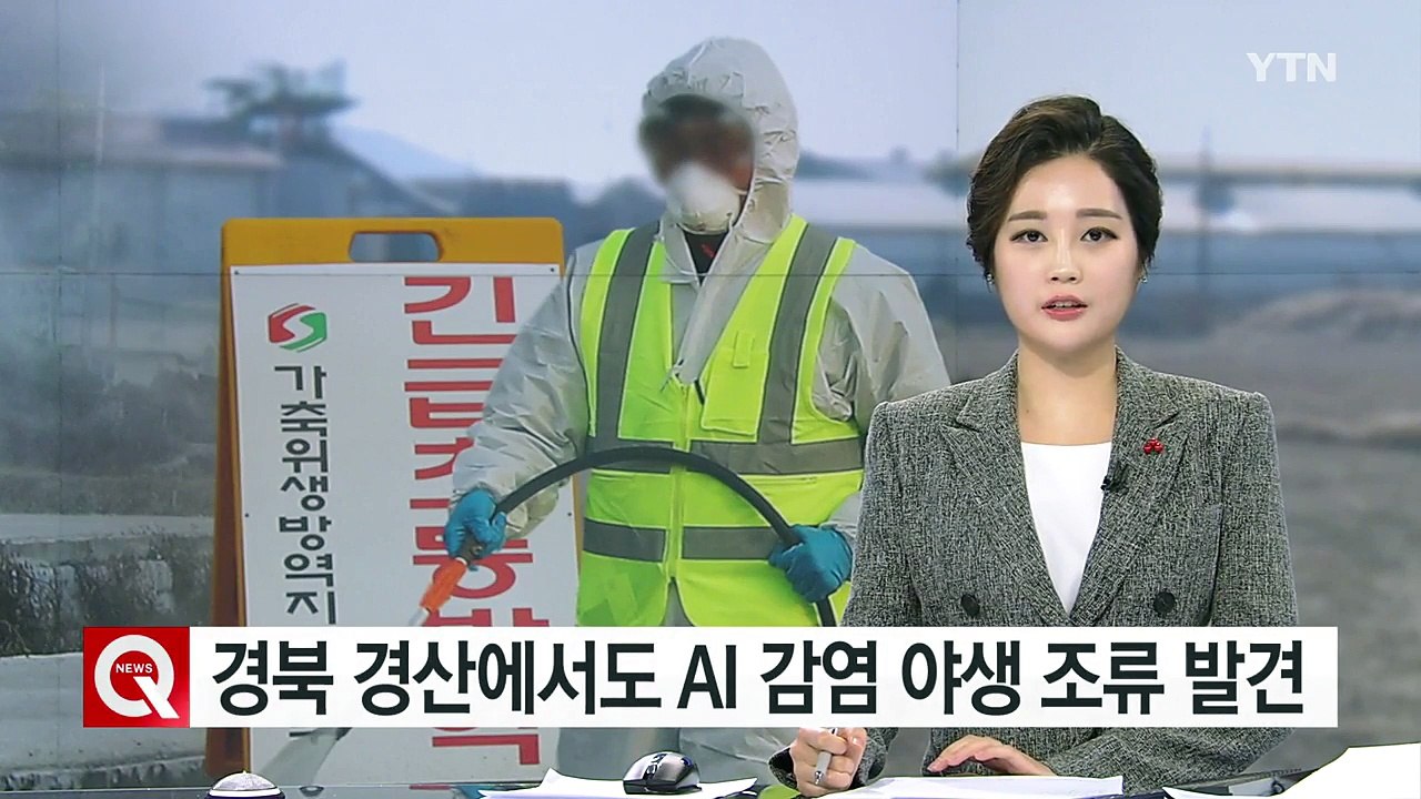 경북 경산에서도 AI 감염 야생 조류 발견 / YTN (Yes! Top News)